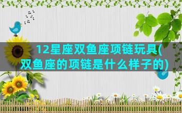 12星座双鱼座项链玩具(双鱼座的项链是什么样子的)