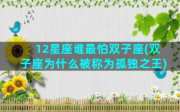 12星座谁最怕双子座(双子座为什么被称为孤独之王)