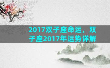 2017双子座命运，双子座2017年运势详解