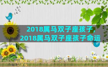 2018属马双子座孩子,2018属马双子座孩子命运