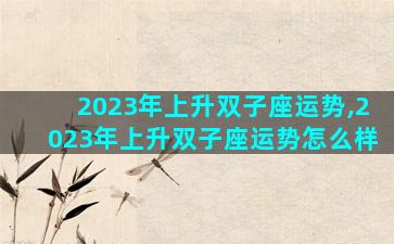 2023年上升双子座运势,2023年上升双子座运势怎么样