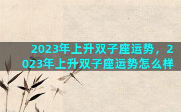 2023年上升双子座运势，2023年上升双子座运势怎么样