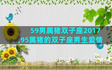 59男属猪双子座2017,95属猪的双子座男生爱情