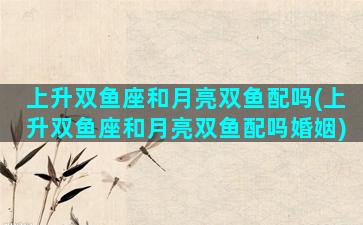 上升双鱼座和月亮双鱼配吗(上升双鱼座和月亮双鱼配吗婚姻)