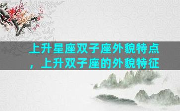 上升星座双子座外貌特点，上升双子座的外貌特征