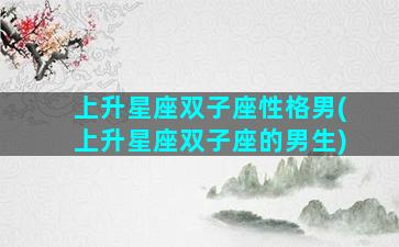 上升星座双子座性格男(上升星座双子座的男生)