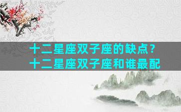 十二星座双子座的缺点？十二星座双子座和谁最配