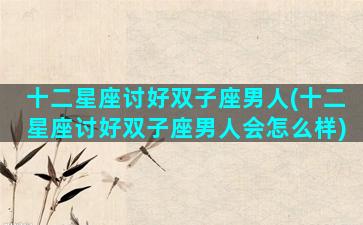 十二星座讨好双子座男人(十二星座讨好双子座男人会怎么样)