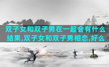 双子女和双子男在一起会有什么结果,双子女和双子男相恋,好么