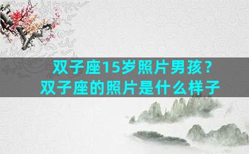 双子座15岁照片男孩？双子座的照片是什么样子