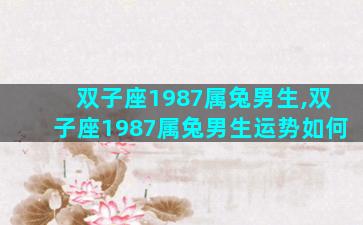 双子座1987属兔男生,双子座1987属兔男生运势如何