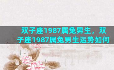 双子座1987属兔男生，双子座1987属兔男生运势如何