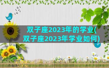 双子座2023年的学业(双子座2023年学业如何)