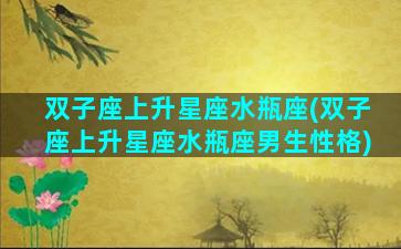 双子座上升星座水瓶座(双子座上升星座水瓶座男生性格)
