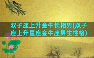 双子座上升金牛长相男(双子座上升星座金牛座男生性格)