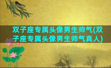 双子座专属头像男生帅气(双子座专属头像男生帅气真人)