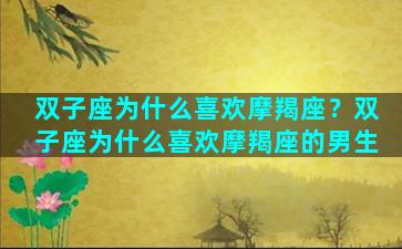 双子座为什么喜欢摩羯座？双子座为什么喜欢摩羯座的男生