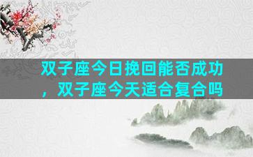 双子座今日挽回能否成功，双子座今天适合复合吗