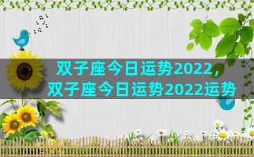 双子座今日运势2022，双子座今日运势2022运势