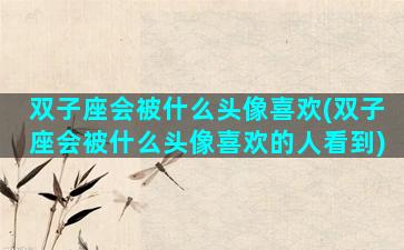 双子座会被什么头像喜欢(双子座会被什么头像喜欢的人看到)