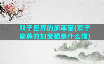 双子座养的加菲猫(双子座养的加菲猫是什么猫)