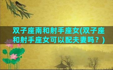 双子座南和射手座女(双子座和射手座女可以配夫妻吗？)