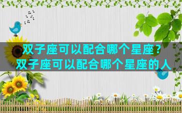 双子座可以配合哪个星座？双子座可以配合哪个星座的人