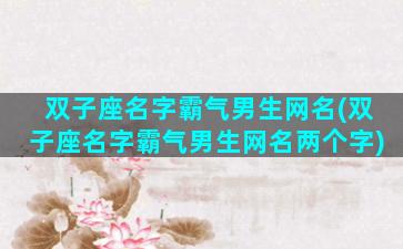 双子座名字霸气男生网名(双子座名字霸气男生网名两个字)