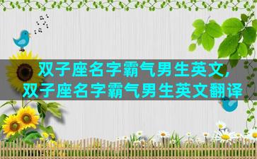 双子座名字霸气男生英文,双子座名字霸气男生英文翻译