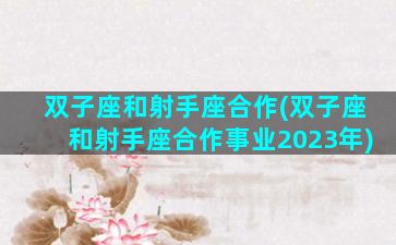 双子座和射手座合作(双子座和射手座合作事业2023年)