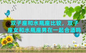 双子座和水瓶座比较，双子座女和水瓶座男在一起合适吗