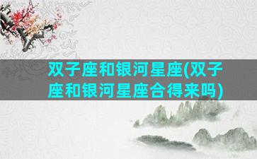 双子座和银河星座(双子座和银河星座合得来吗)