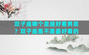 双子座哪个星座好看男孩？双子座是不是最好看的