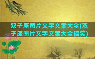 双子座图片文字文案大全(双子座图片文字文案大全搞笑)