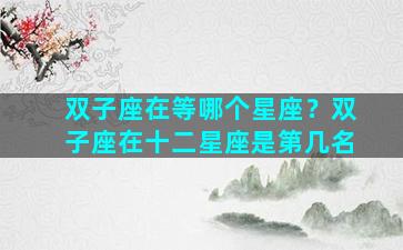双子座在等哪个星座？双子座在十二星座是第几名