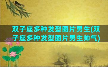 双子座多种发型图片男生(双子座多种发型图片男生帅气)