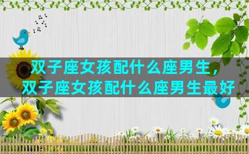 双子座女孩配什么座男生，双子座女孩配什么座男生最好