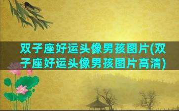 双子座好运头像男孩图片(双子座好运头像男孩图片高清)