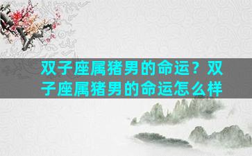 双子座属猪男的命运？双子座属猪男的命运怎么样