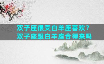 双子座很受白羊座喜欢？双子座跟白羊座合得来吗