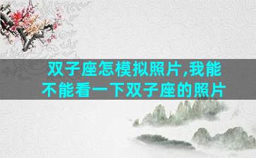 双子座怎模拟照片,我能不能看一下双子座的照片