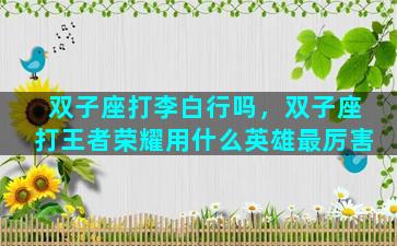 双子座打李白行吗，双子座打王者荣耀用什么英雄最厉害