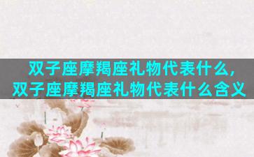 双子座摩羯座礼物代表什么,双子座摩羯座礼物代表什么含义