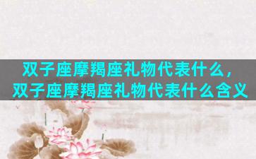 双子座摩羯座礼物代表什么，双子座摩羯座礼物代表什么含义