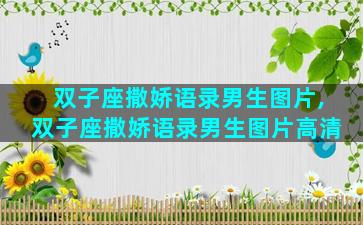双子座撒娇语录男生图片,双子座撒娇语录男生图片高清
