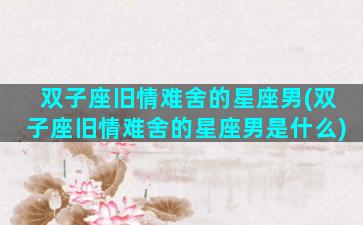 双子座旧情难舍的星座男(双子座旧情难舍的星座男是什么)