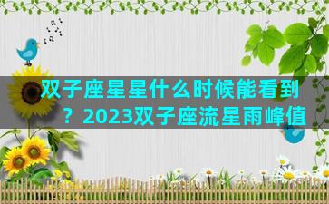 双子座星星什么时候能看到？2023双子座流星雨峰值