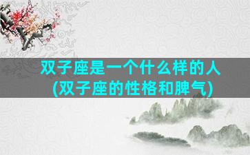 双子座是一个什么样的人(双子座的性格和脾气)