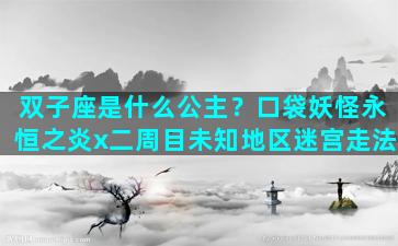 双子座是什么公主？口袋妖怪永恒之炎x二周目未知地区迷宫走法