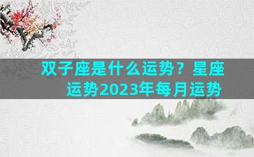 双子座是什么运势？星座运势2023年每月运势